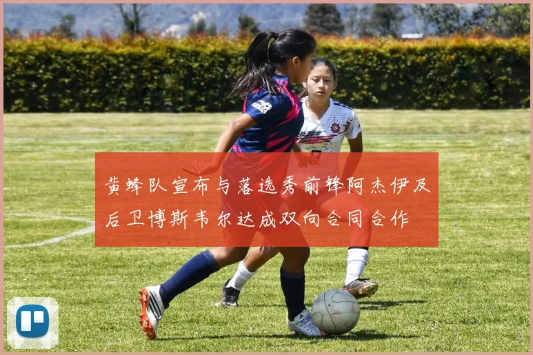 黄蜂队宣布与落选秀前锋阿杰伊及后卫博斯韦尔达成双向合同合作