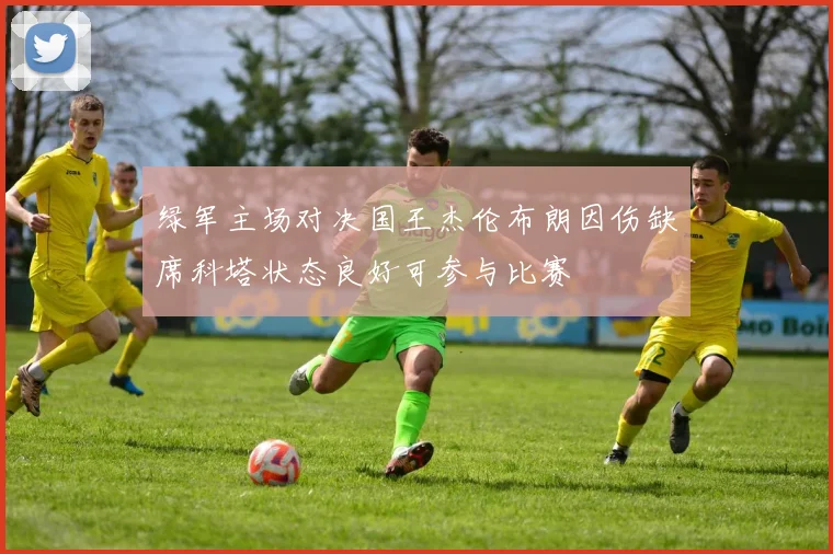 绿军主场对决国王杰伦布朗因伤缺席科塔状态良好可参与比赛